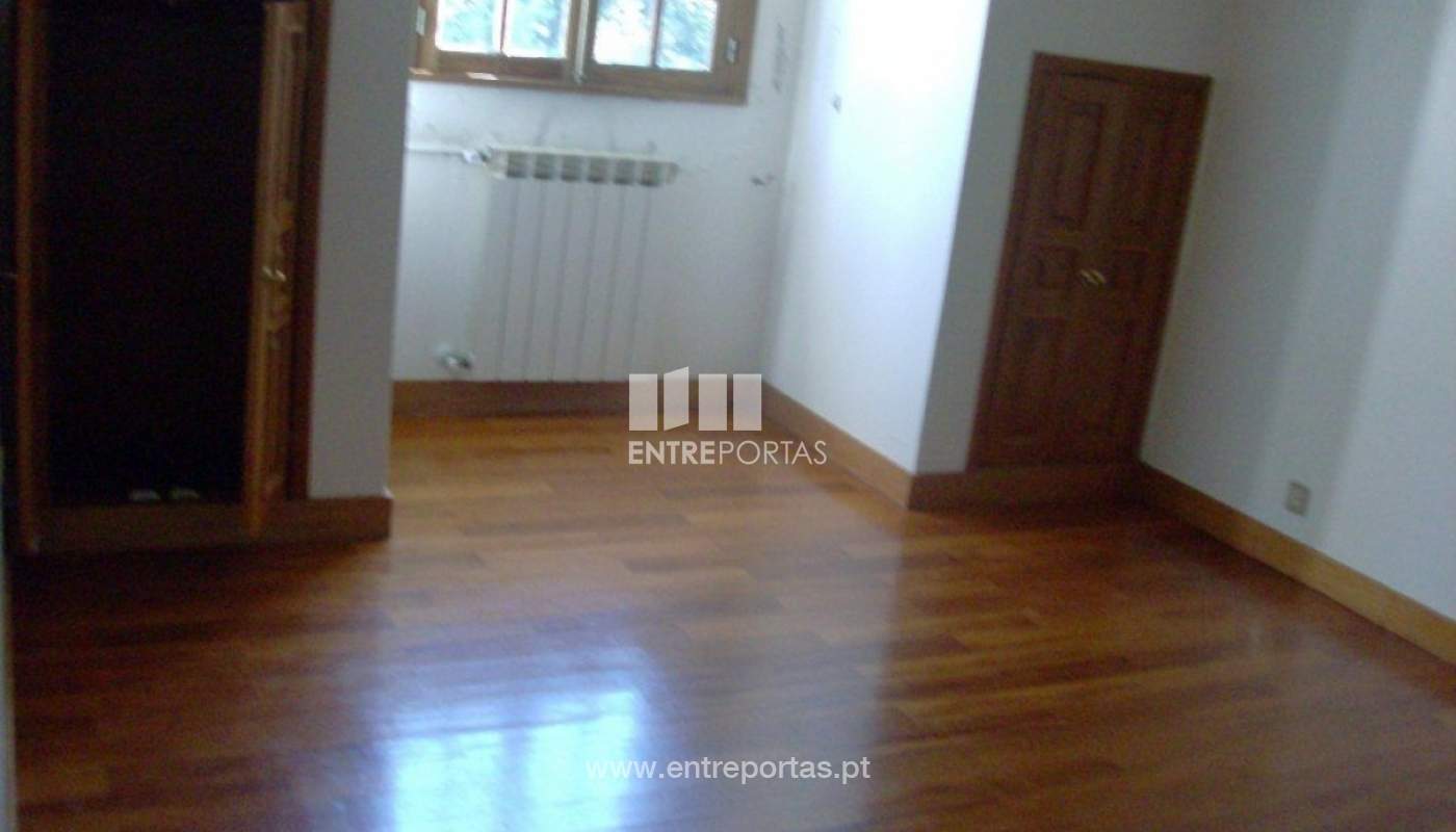 438947-hpim3848jpg
