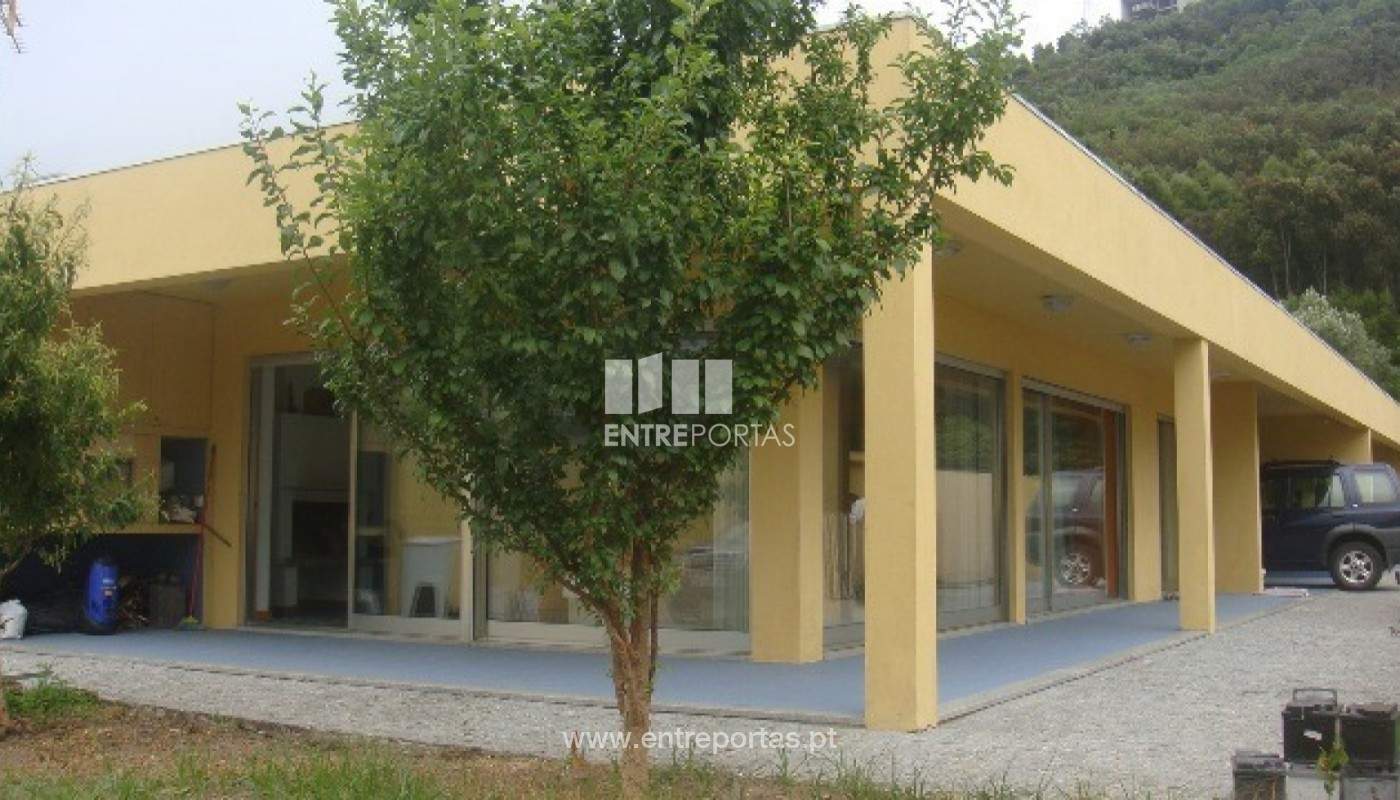 549308-14006jpg