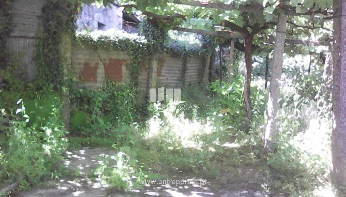 612063-16199jpg
