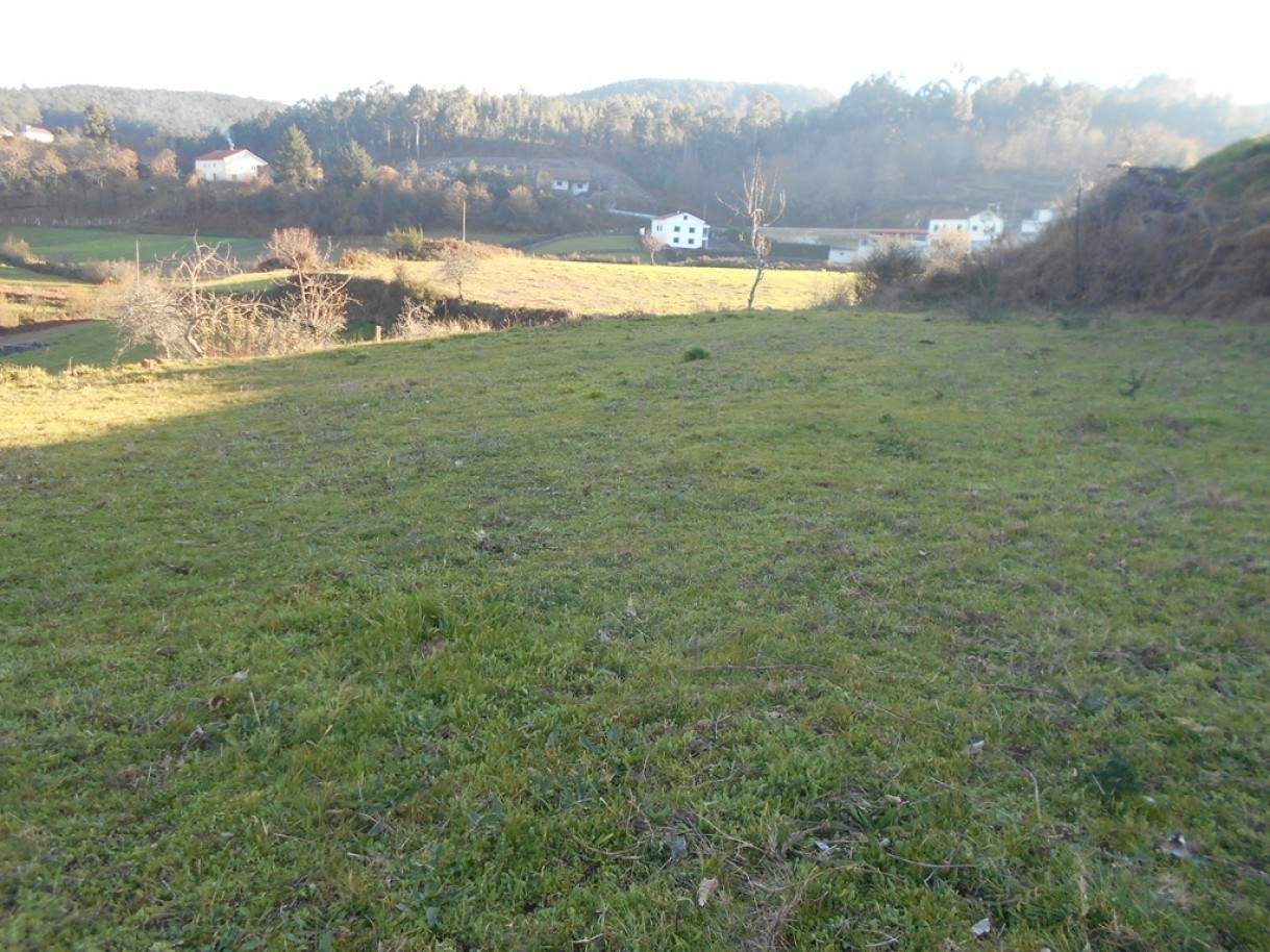 Terreno em Paredes de Coura