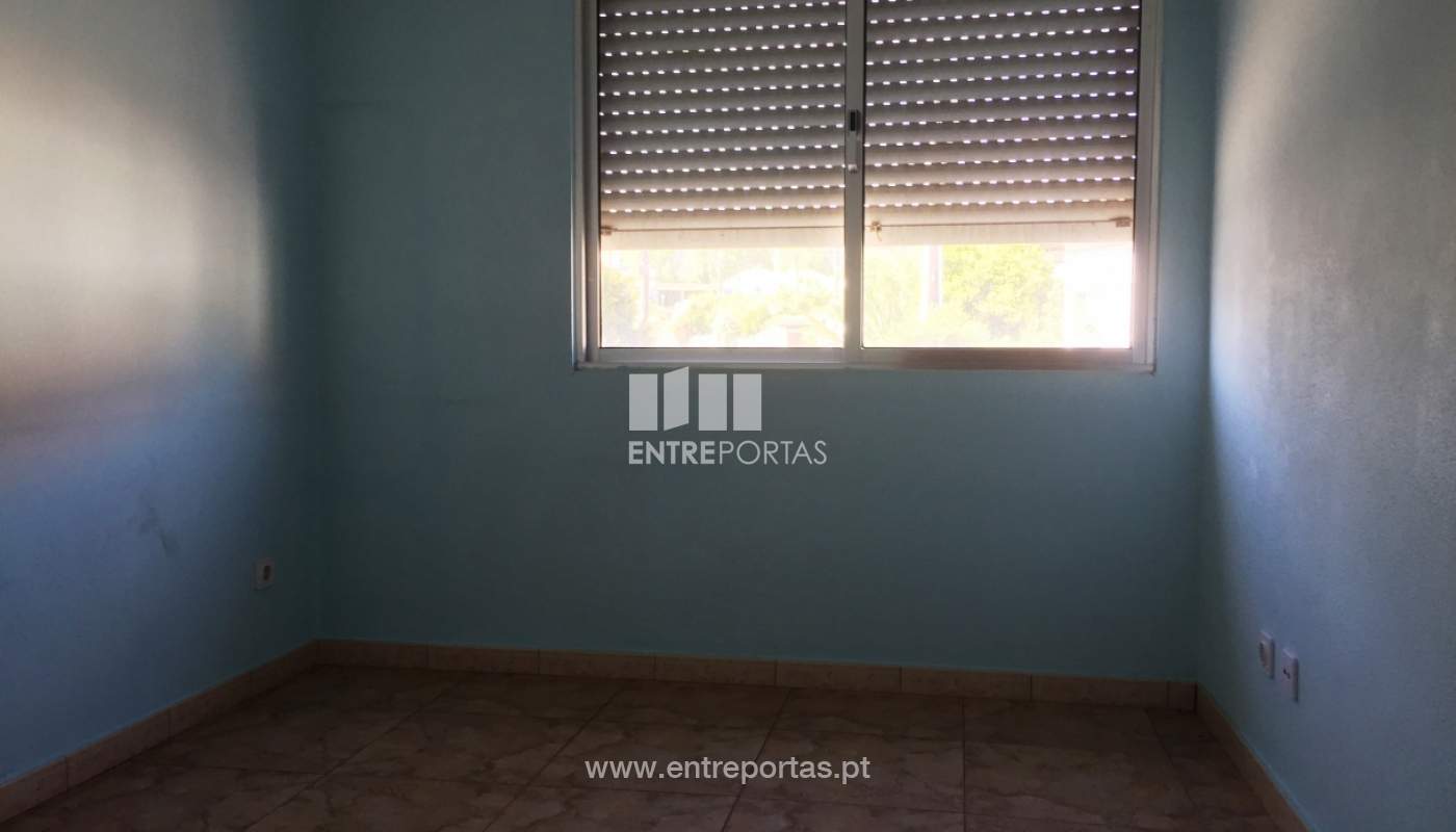 img-0377jpg