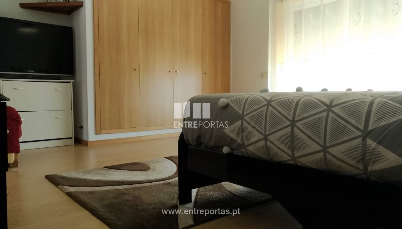 p-20190826-121224-vhdr-on1jpg