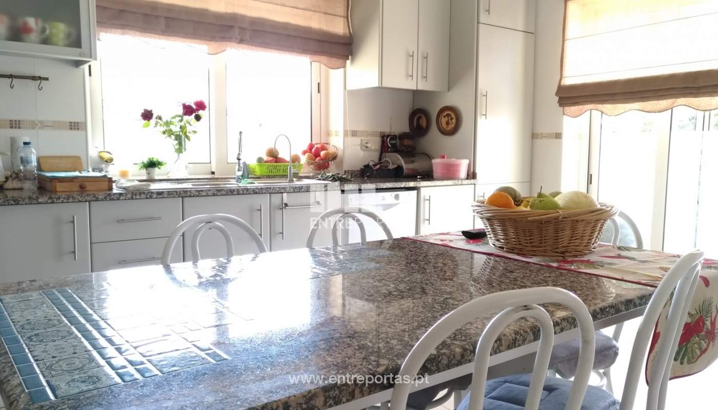 p-20190826-123555-vhdr-on1jpg