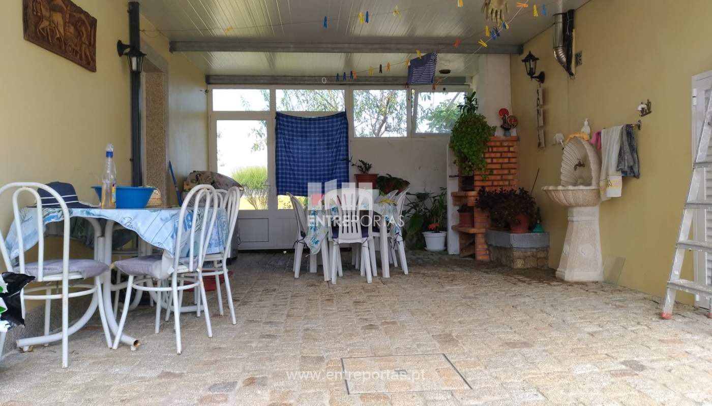 p-20190826-124604-vhdr-on1jpg