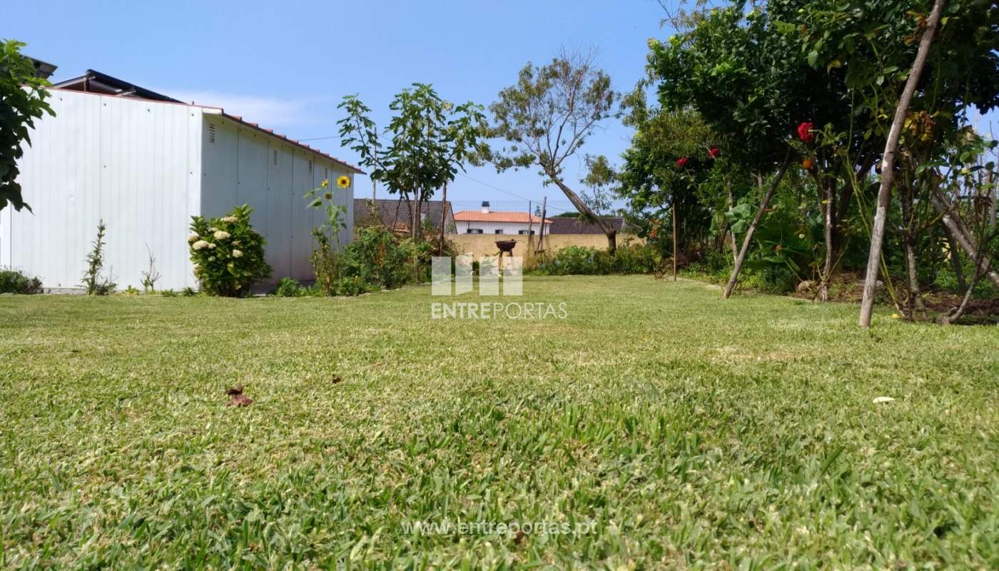 p-20190826-124949-vhdr-on1jpg