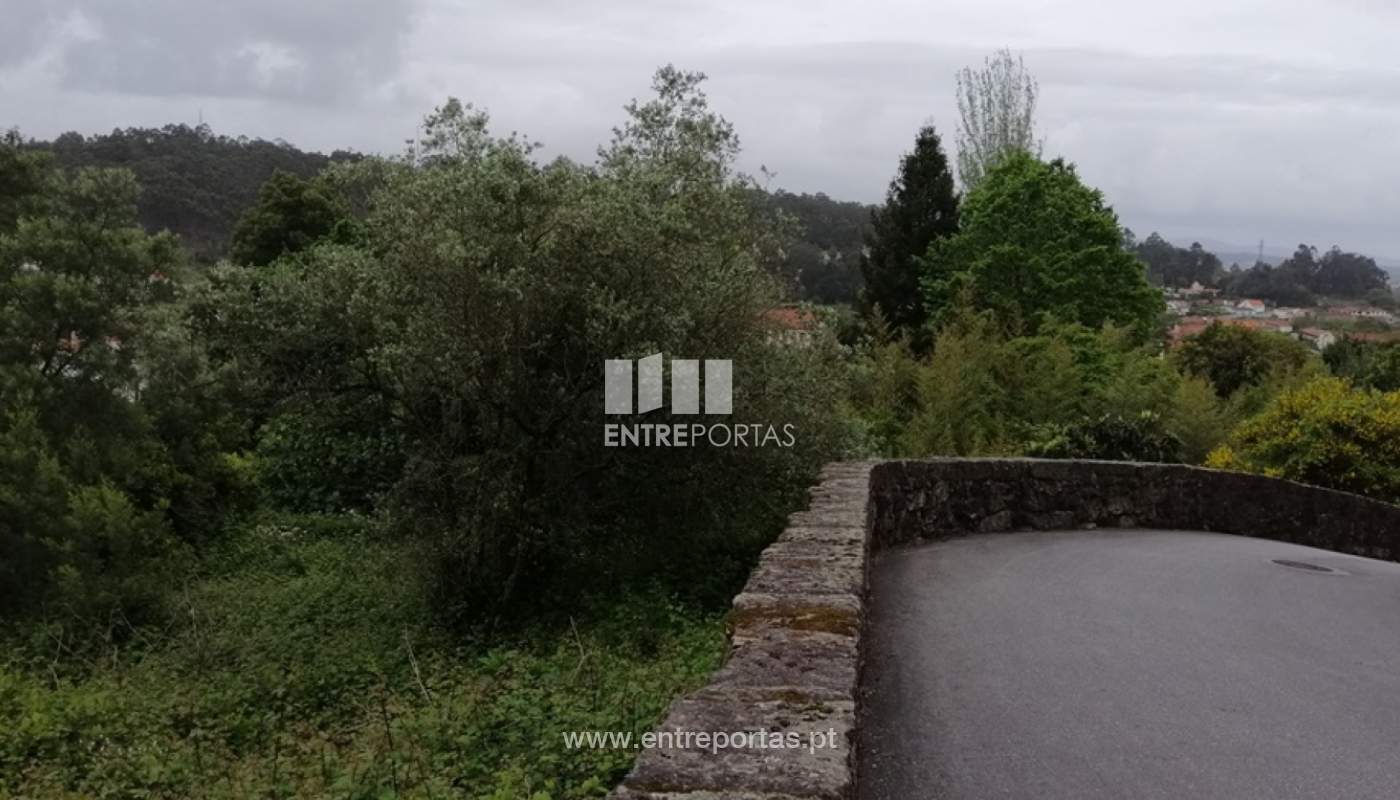 img-20200429-192121jpg