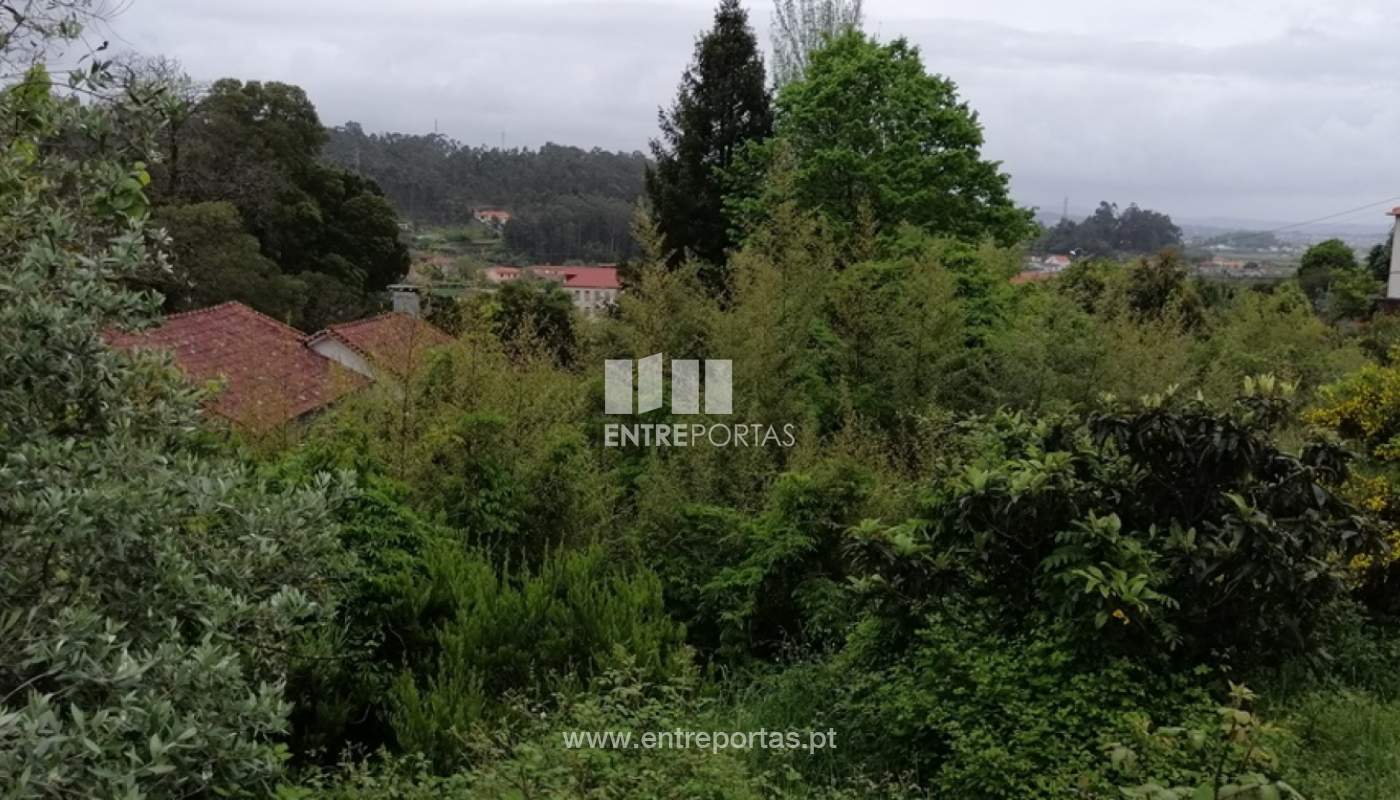 img-20200429-192157jpg