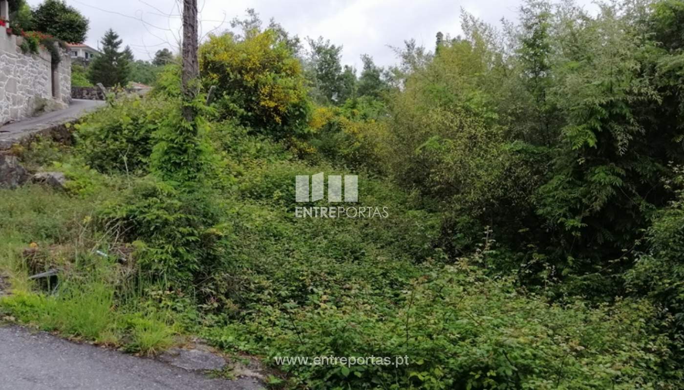 img-20200429-192306jpg