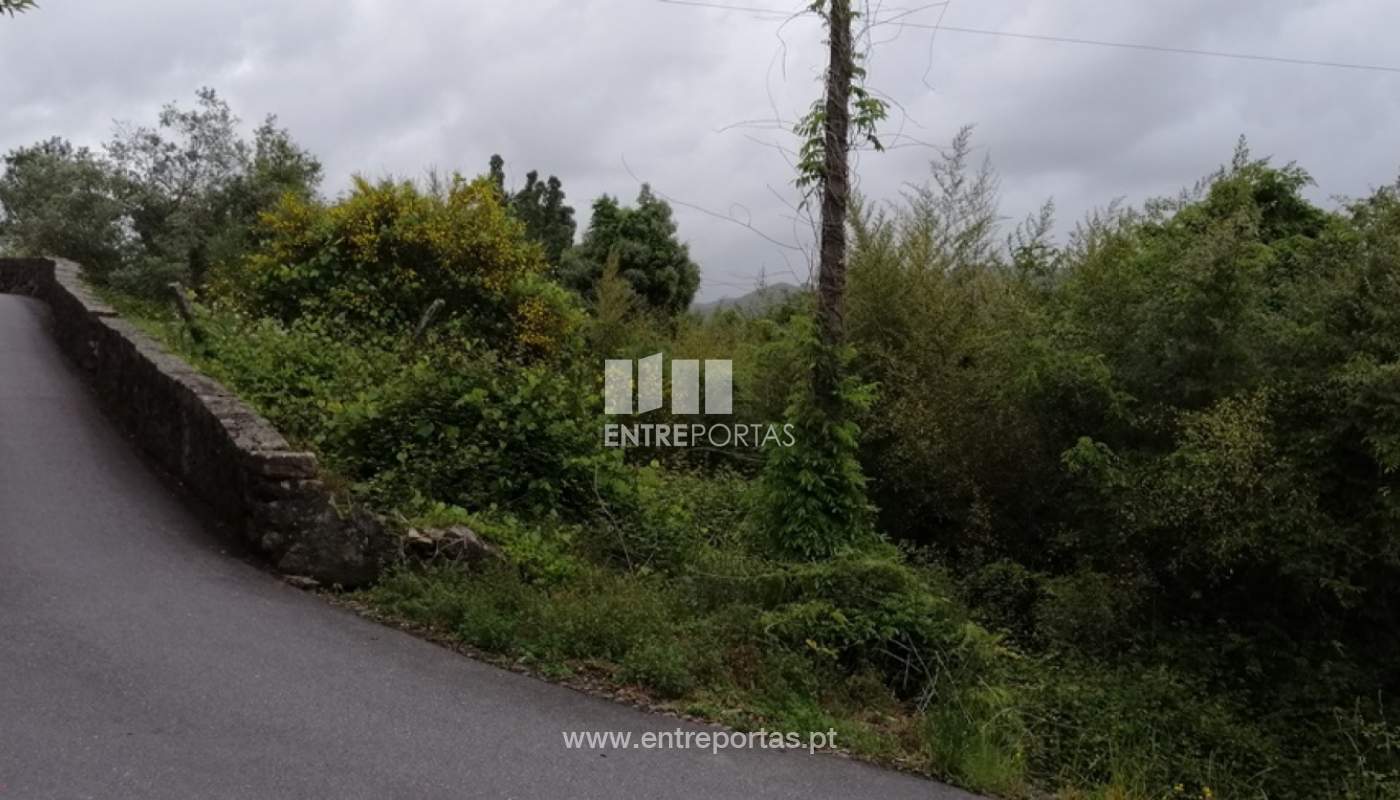 img-20200429-192328jpg