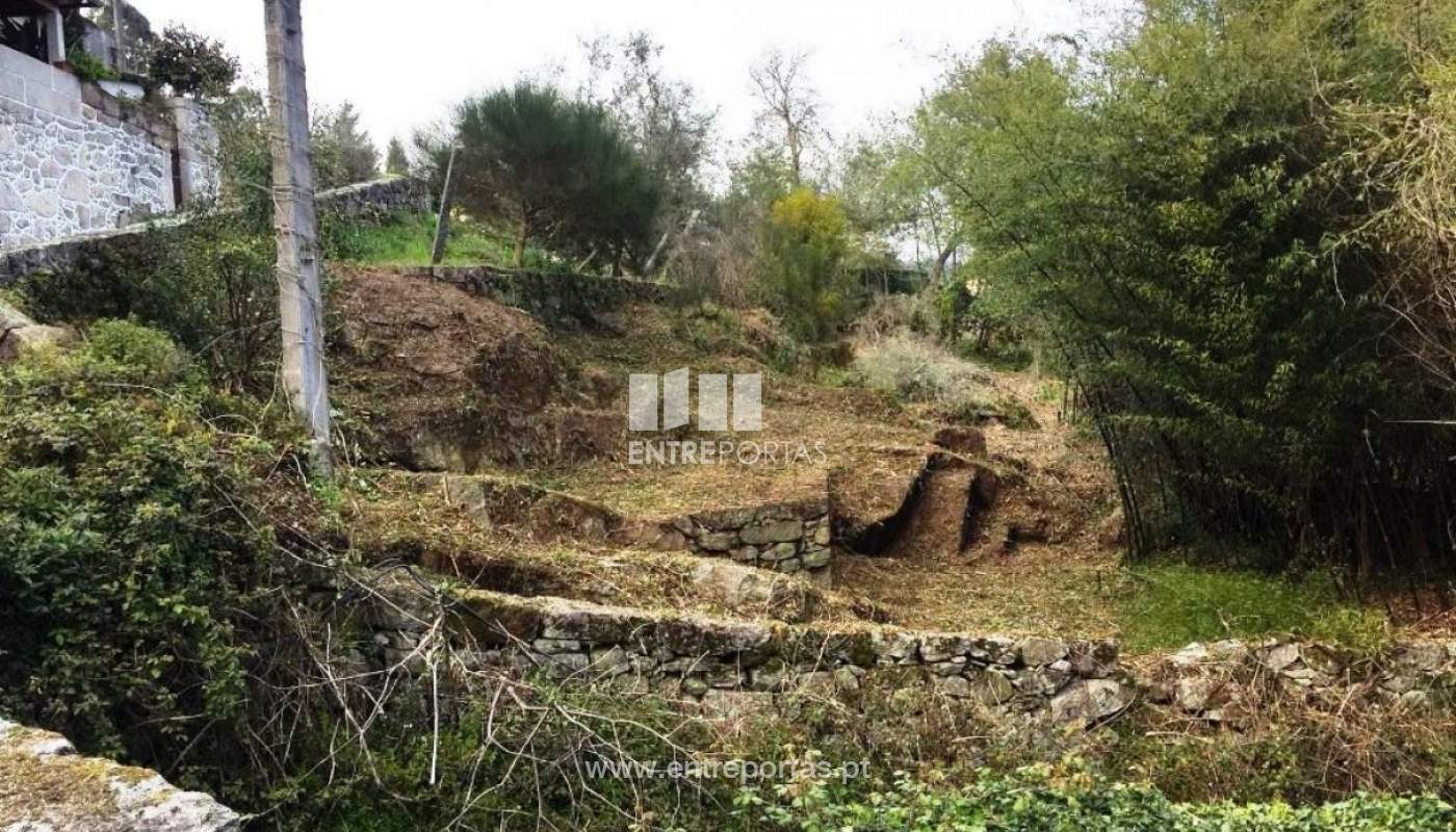 img-20180325-wa0006jpg