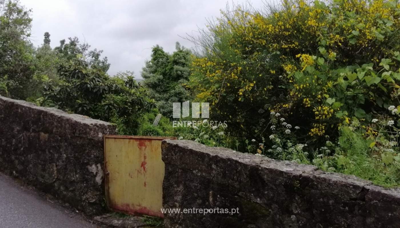 img-20200429-192227jpg