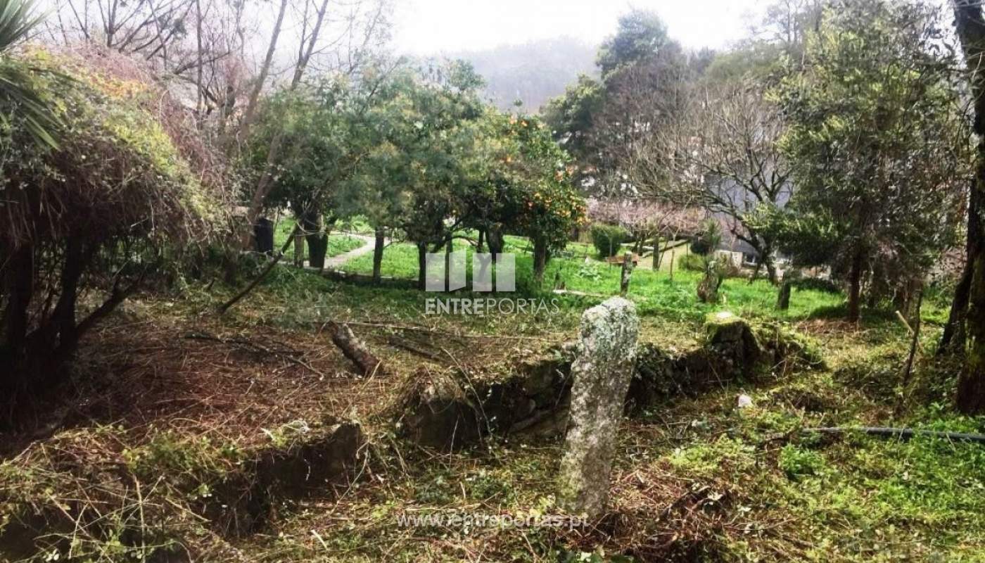 img-20180325-wa0025jpg