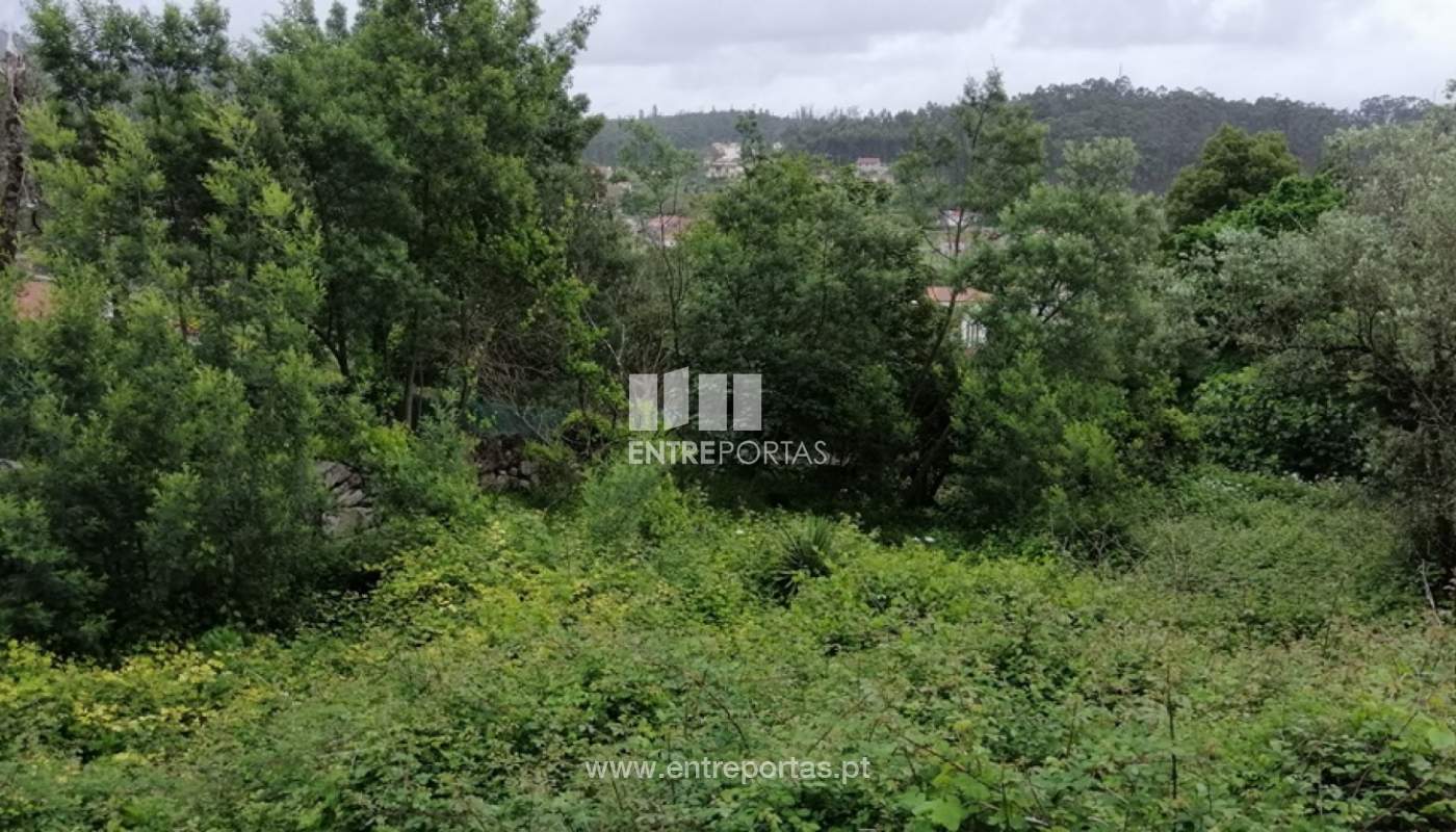 img-20200429-192108jpg