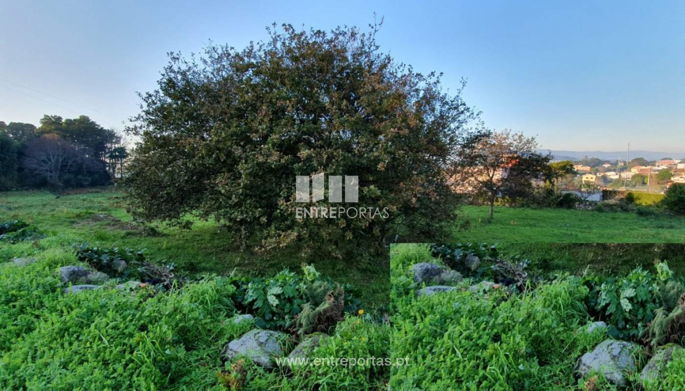 img-20191205-wa0002jpg