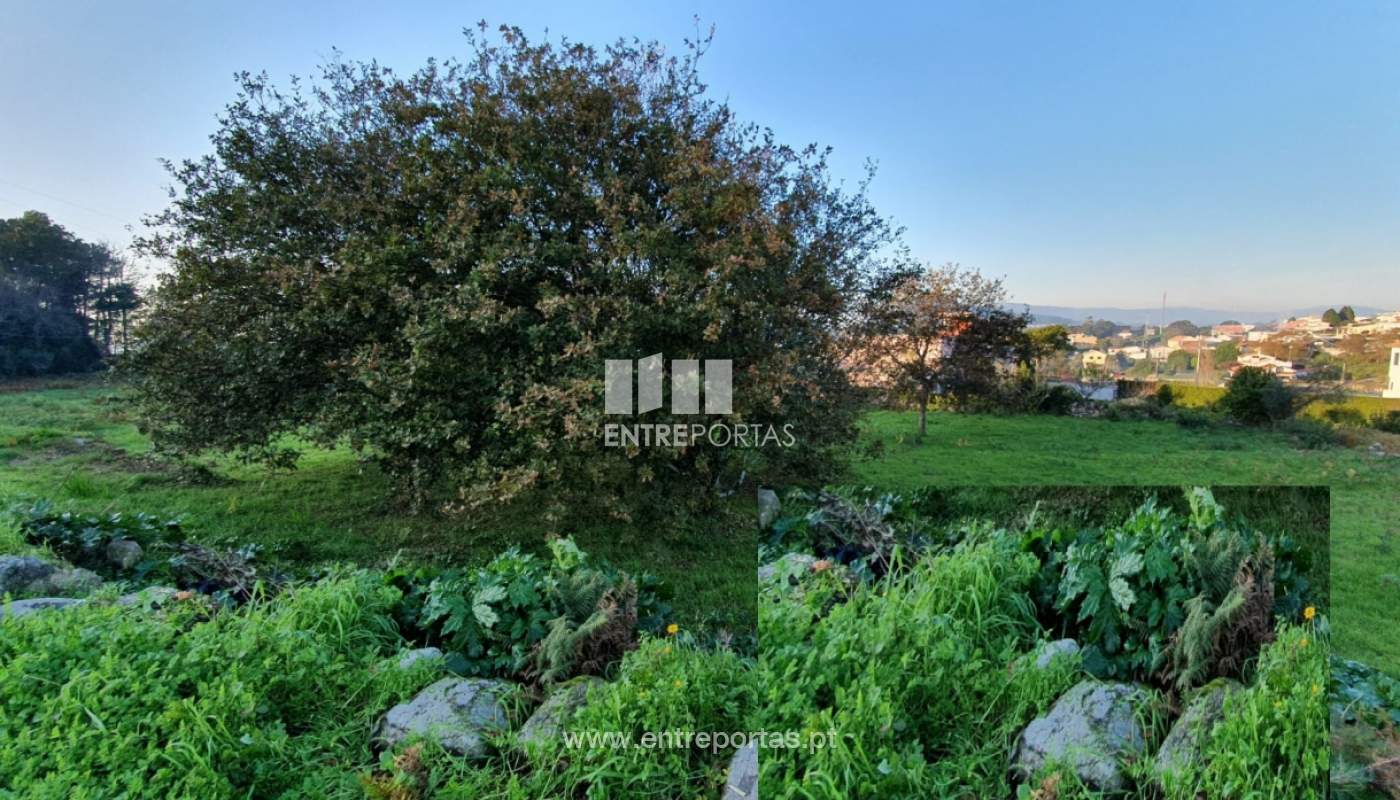 img-20191205-wa0003jpg