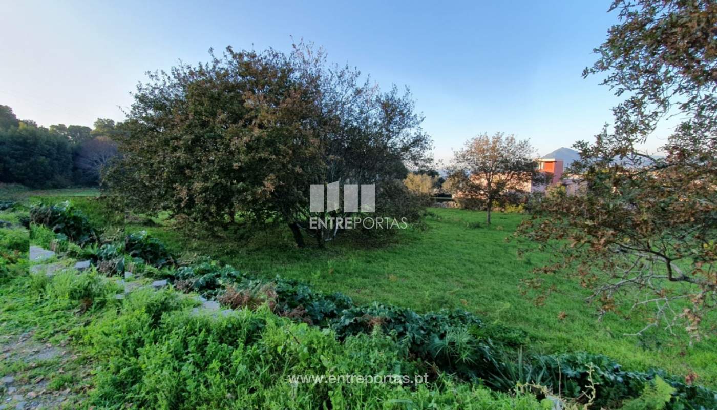 img-20191205-wa0005jpg