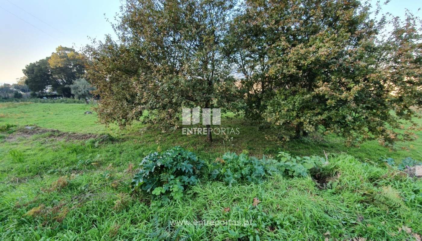 img-20191205-wa0006jpg