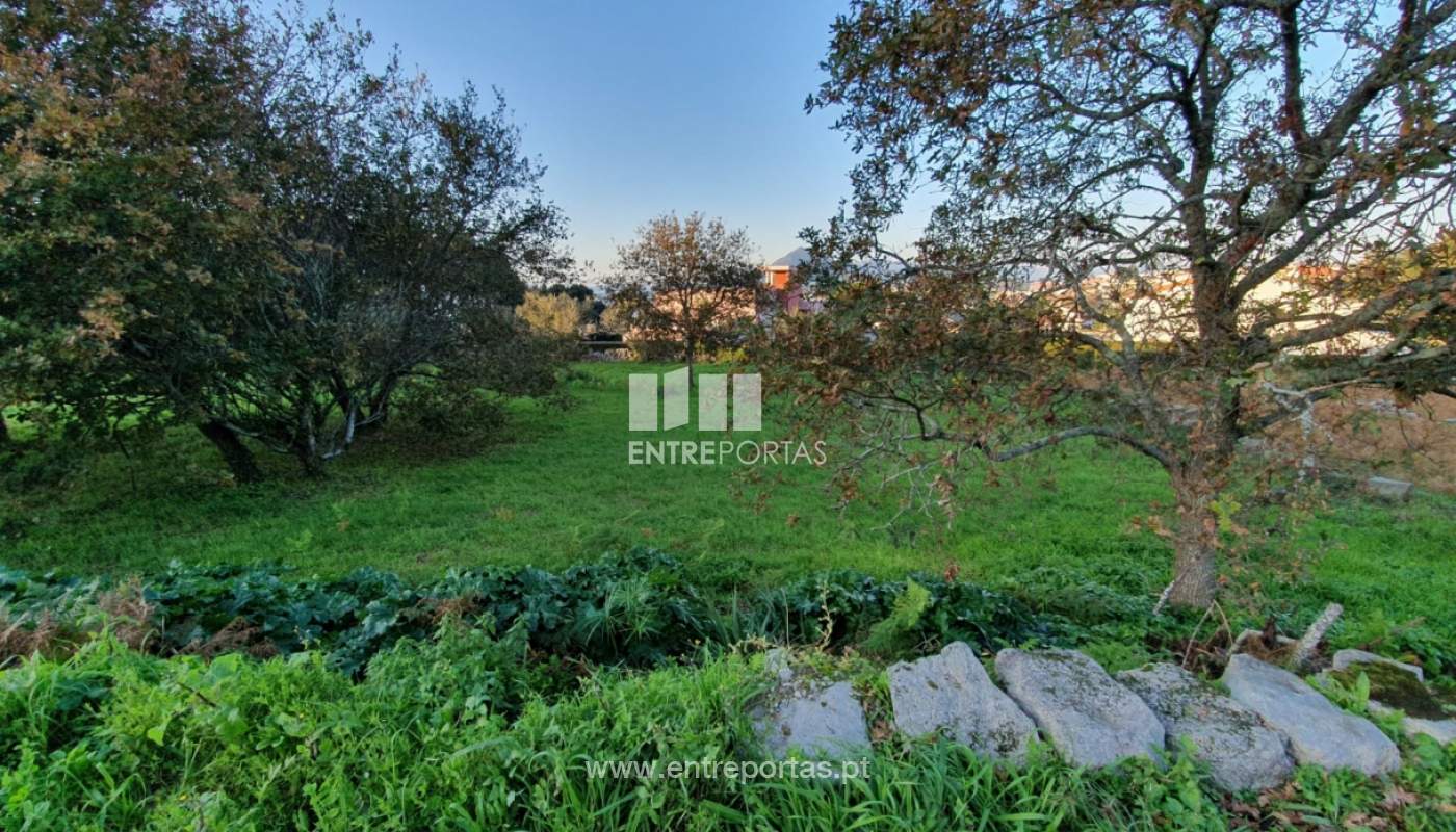 img-20191205-wa0004jpg