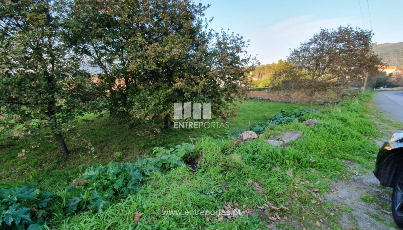 img-20191205-wa0007jpg