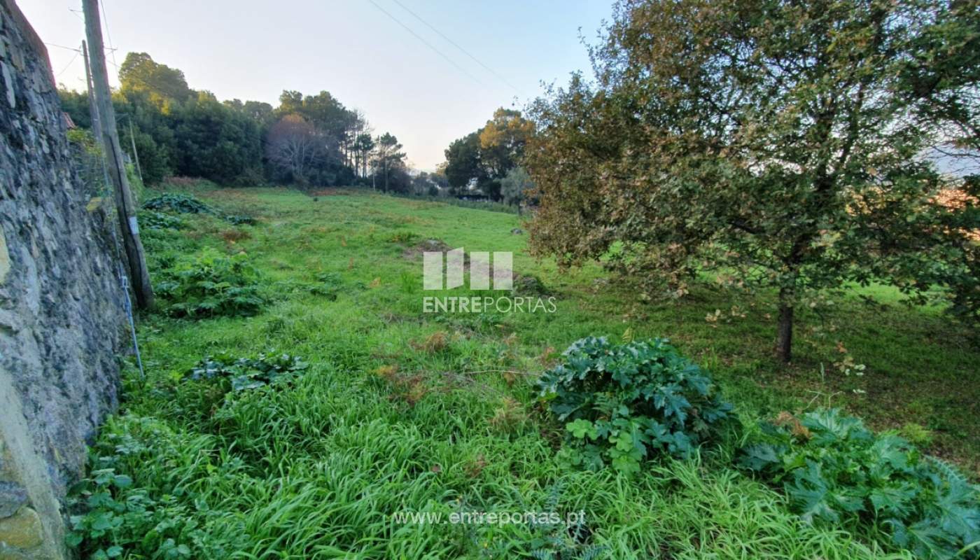 img-20191205-wa0008jpg