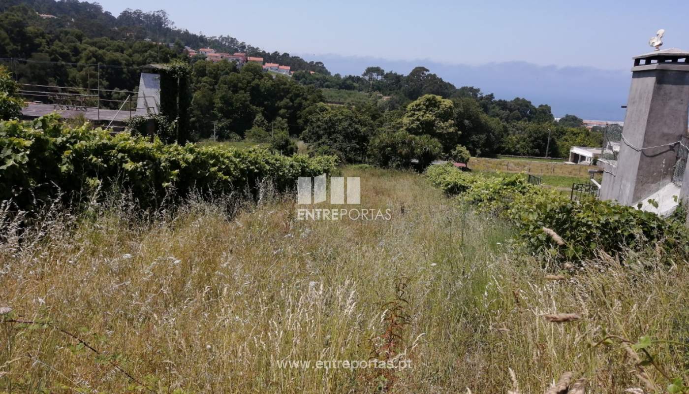 img-20200623-133522jpg