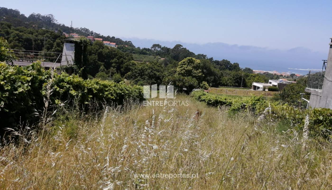 img-20200623-133513jpg