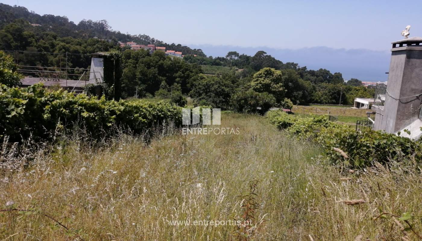 img-20200623-133524jpg