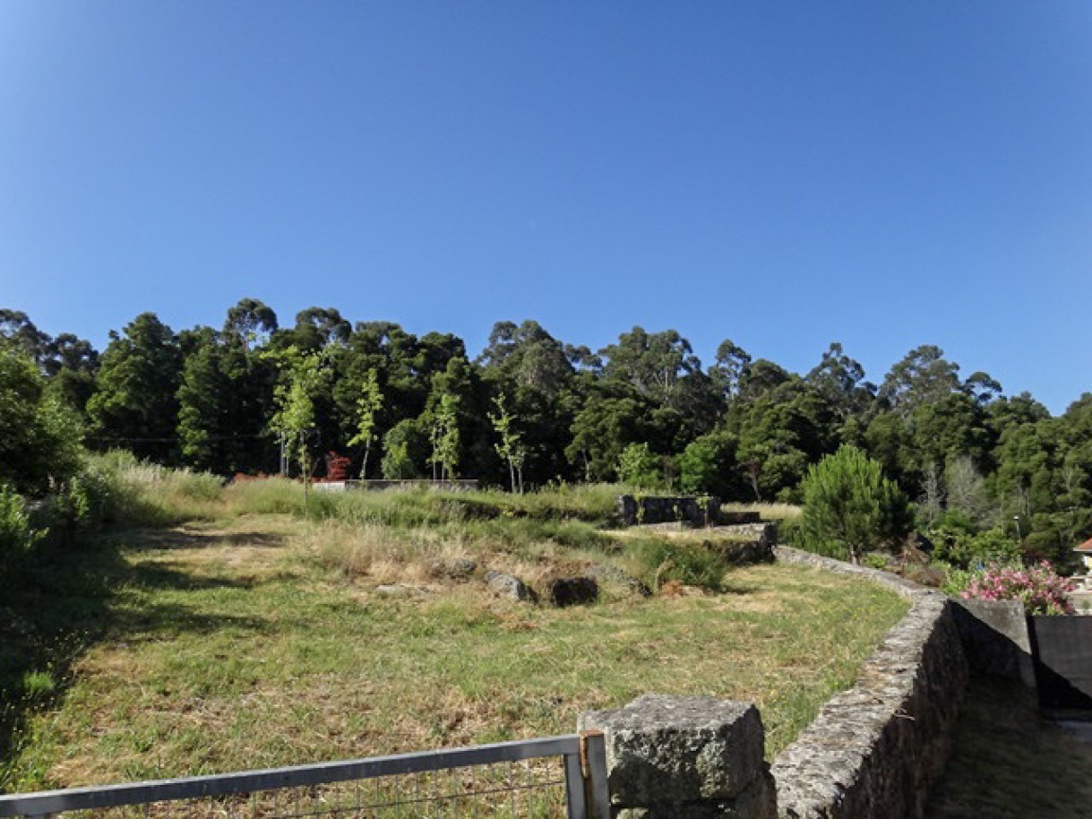 2-3jpg