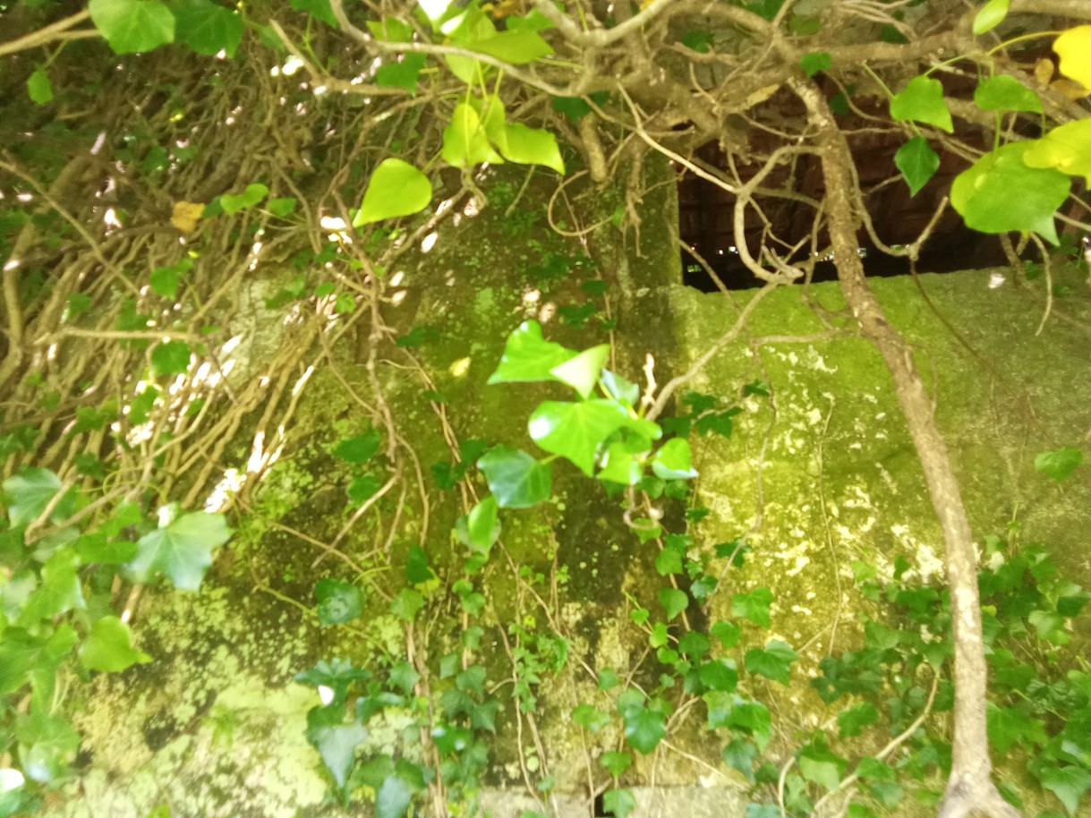 img-20240510-161606jpg