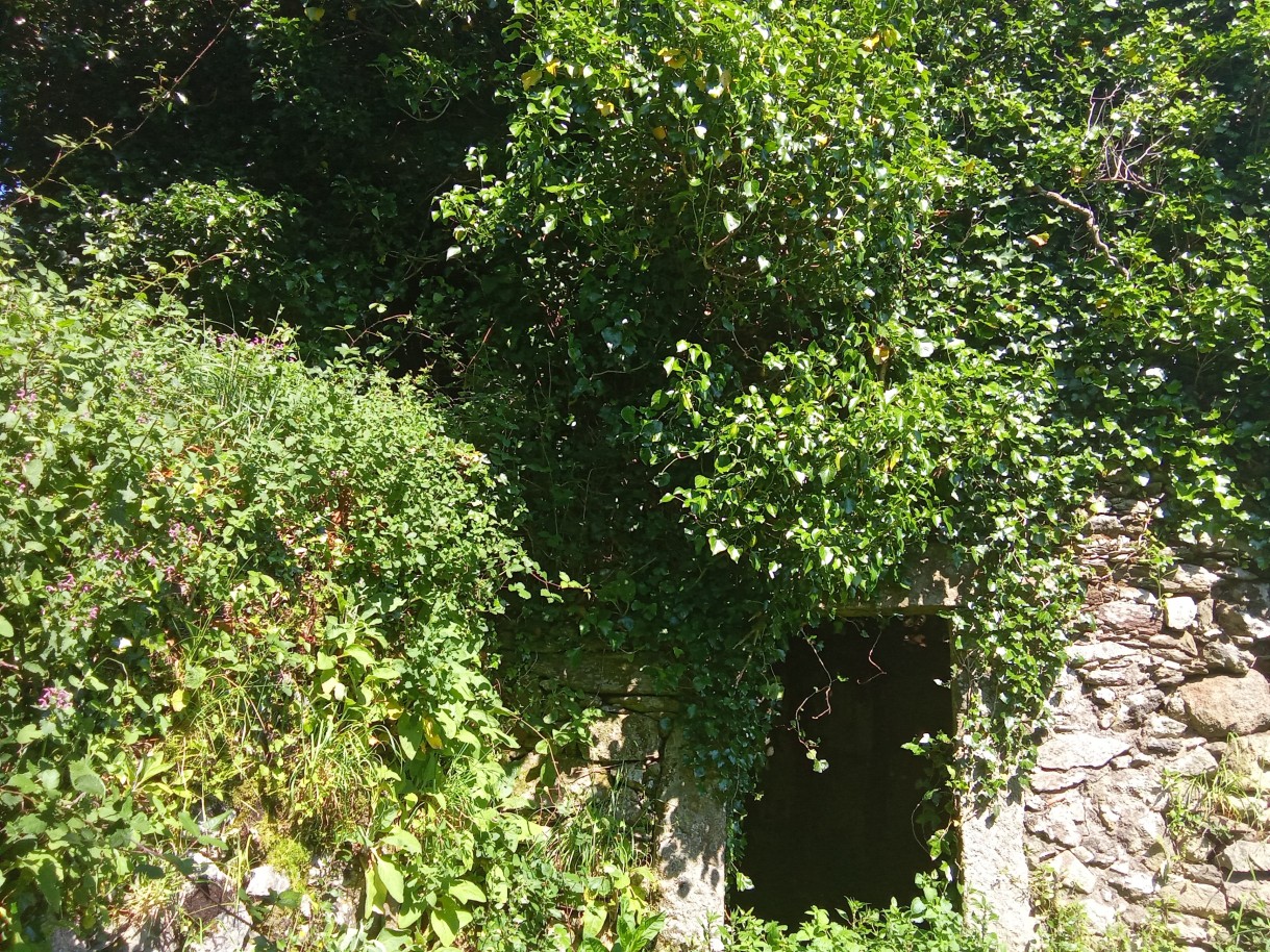 img-20240510-162616jpg