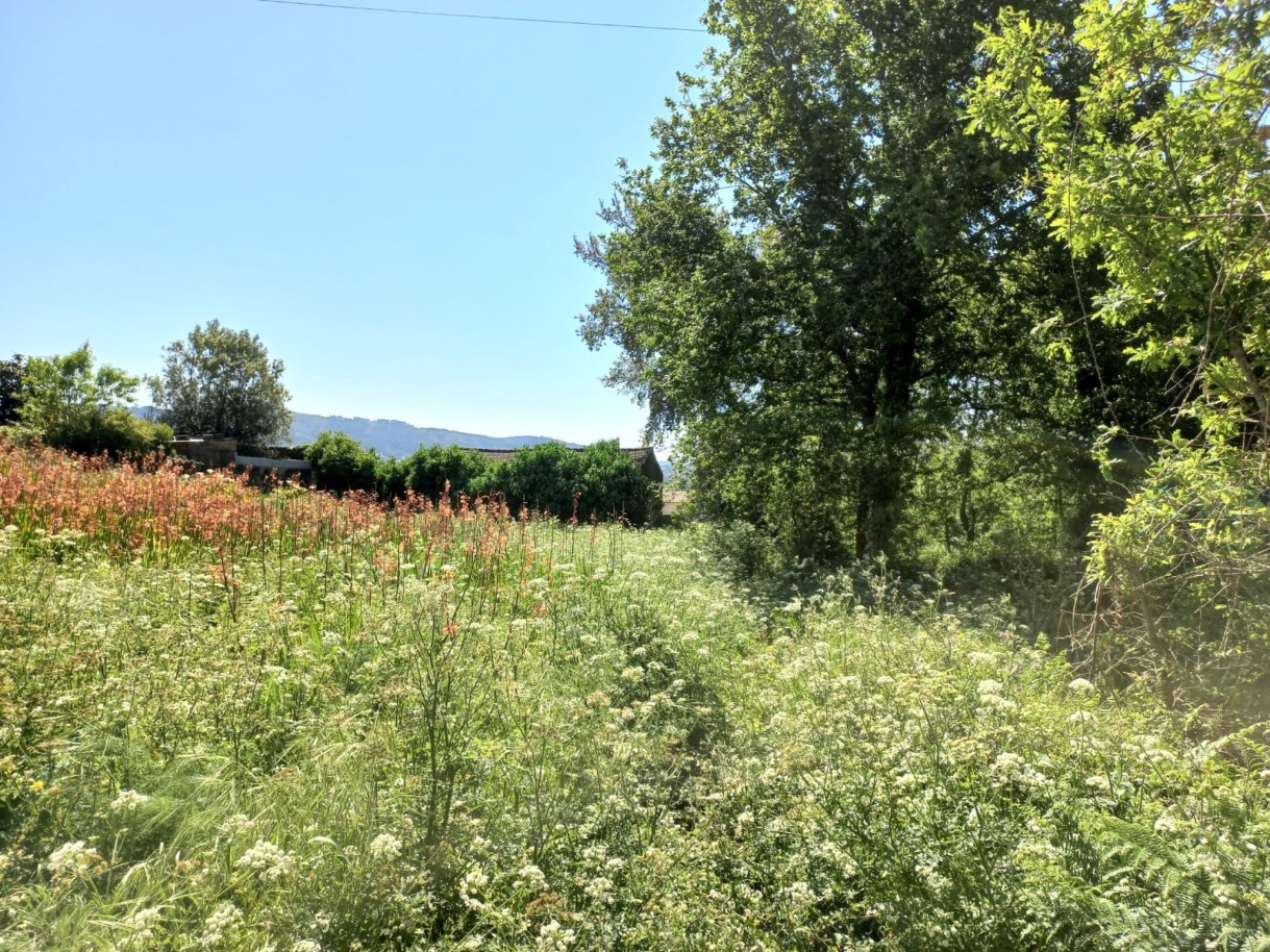 2-3jpg