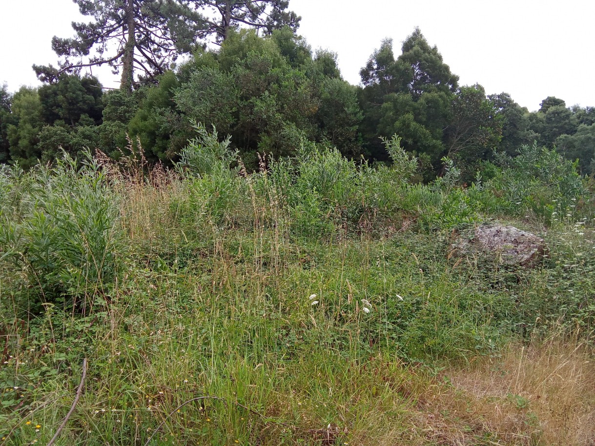 img-20240731-153522jpg