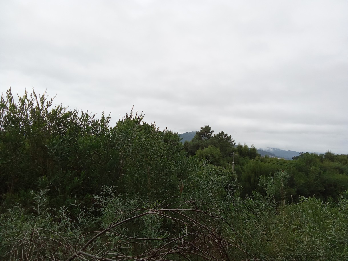 img-20240731-153857jpg