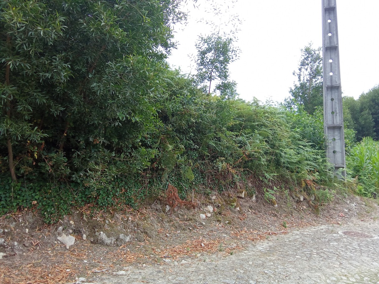 img-20240731-154316jpg