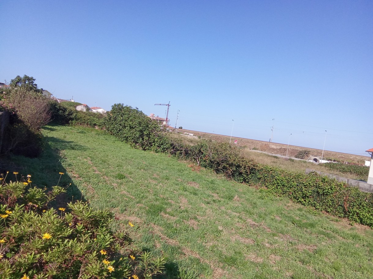 img-20240808-092419jpg