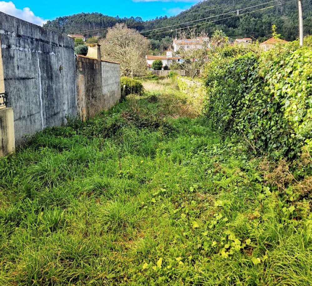 2-4jpg