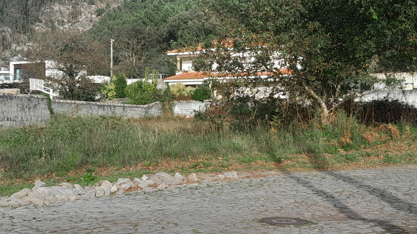 20241030-154253jpg