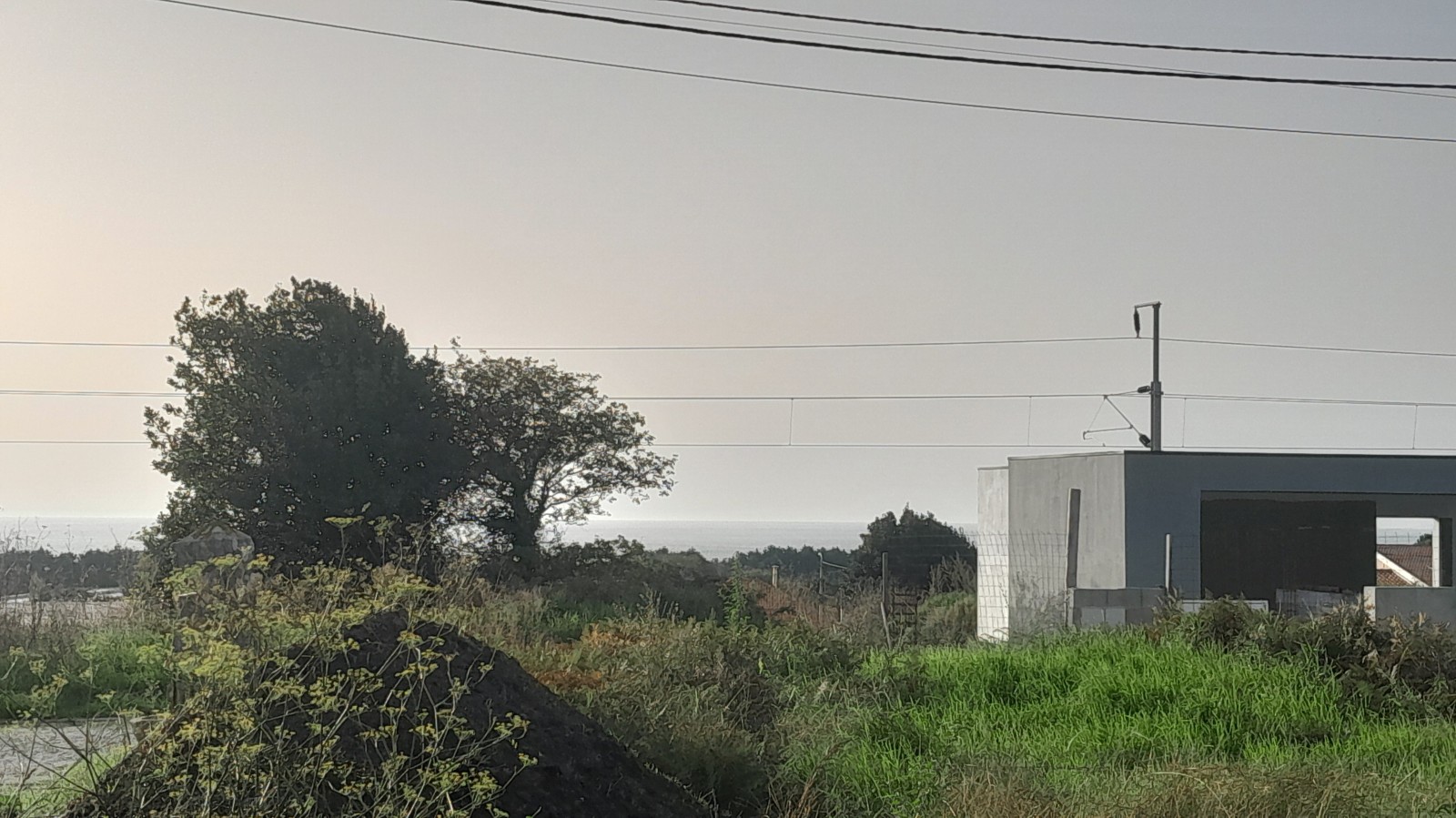 20241030-154325jpg