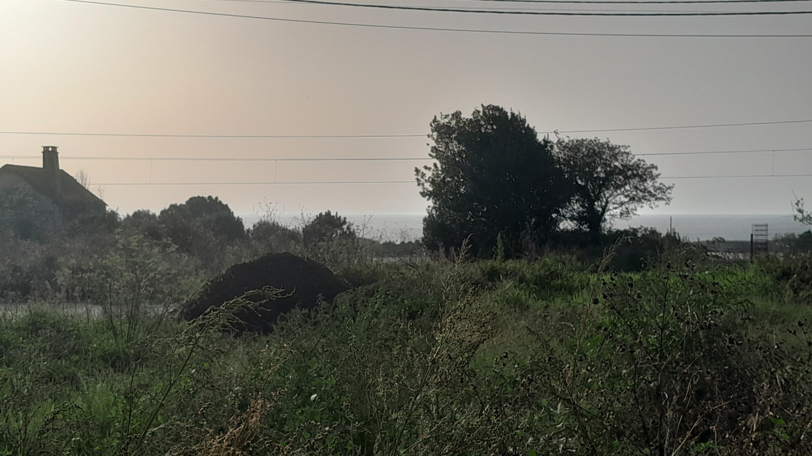 20241030-154344jpg