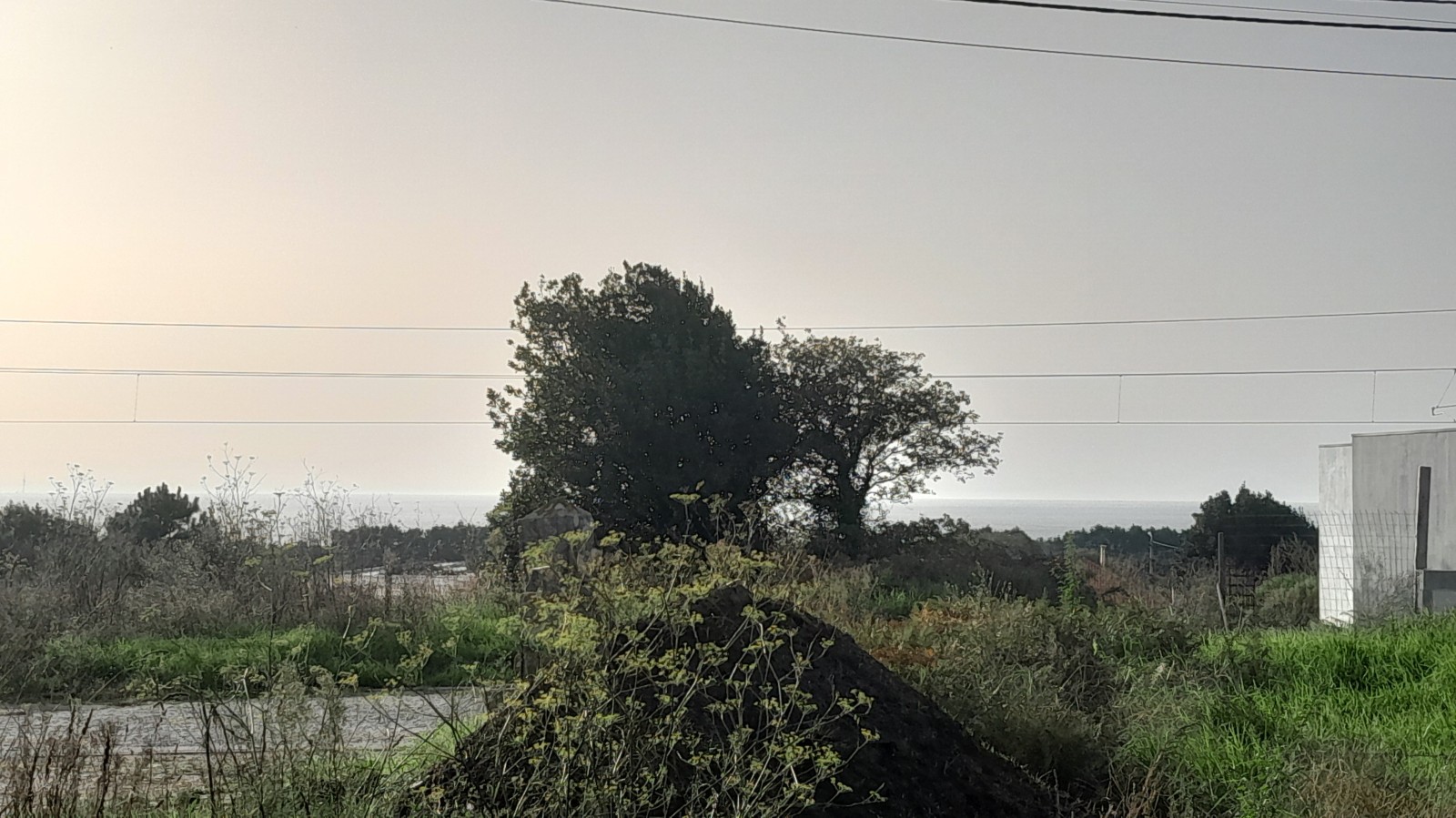 20241030-154327jpg