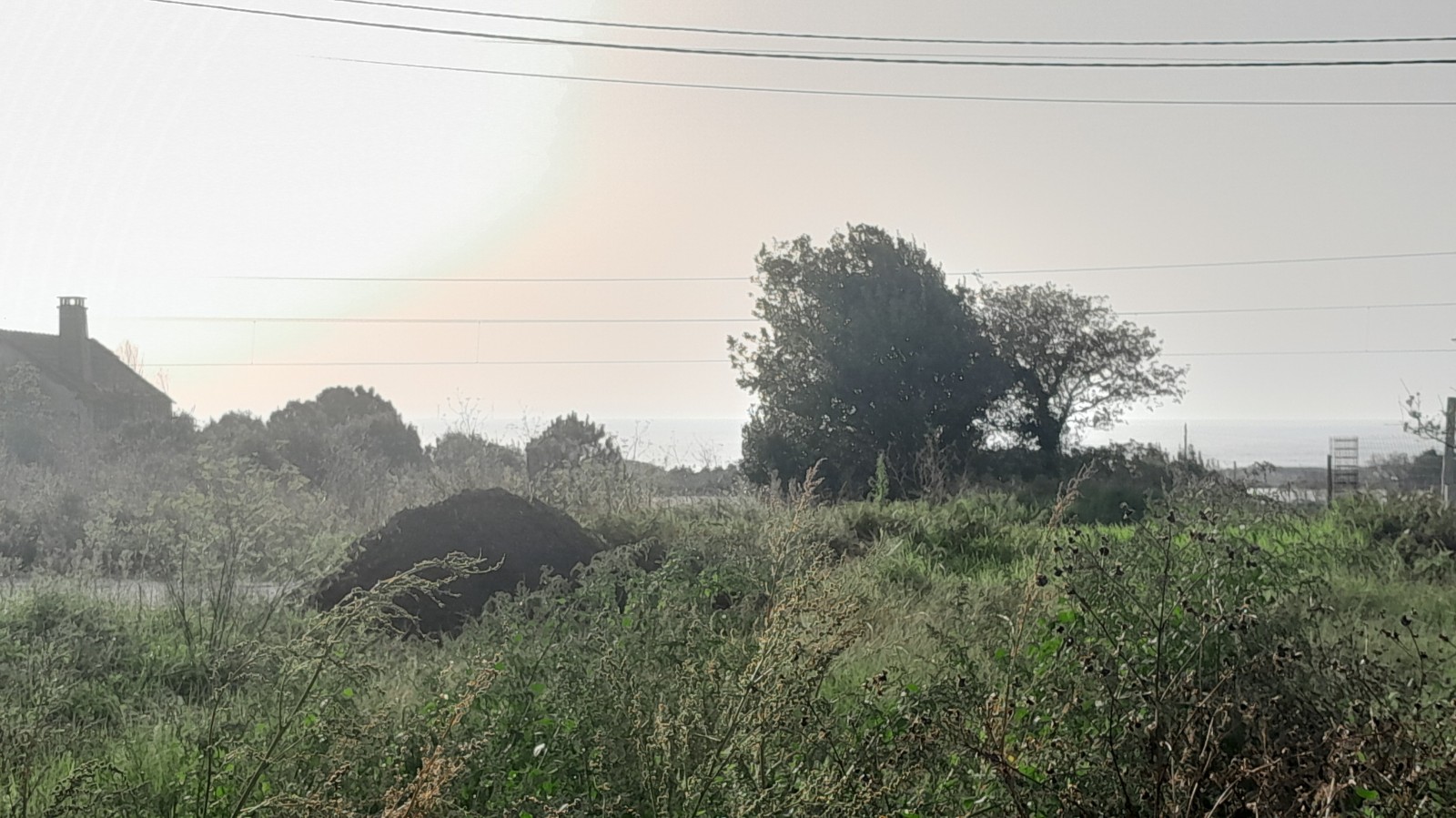 20241030-154352jpg