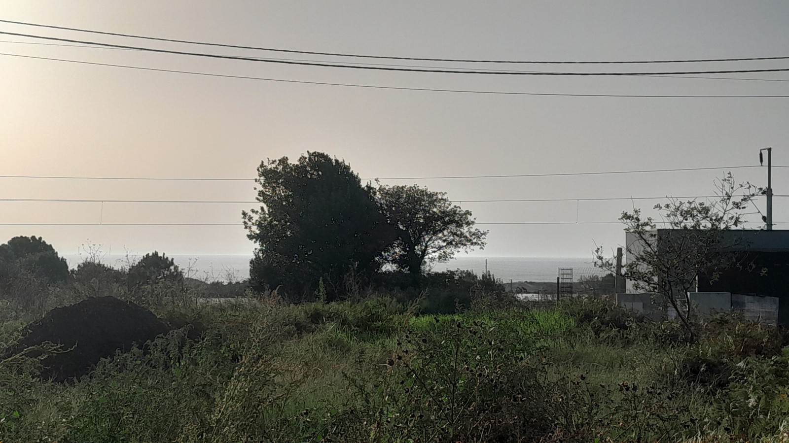 20241030-154355jpg