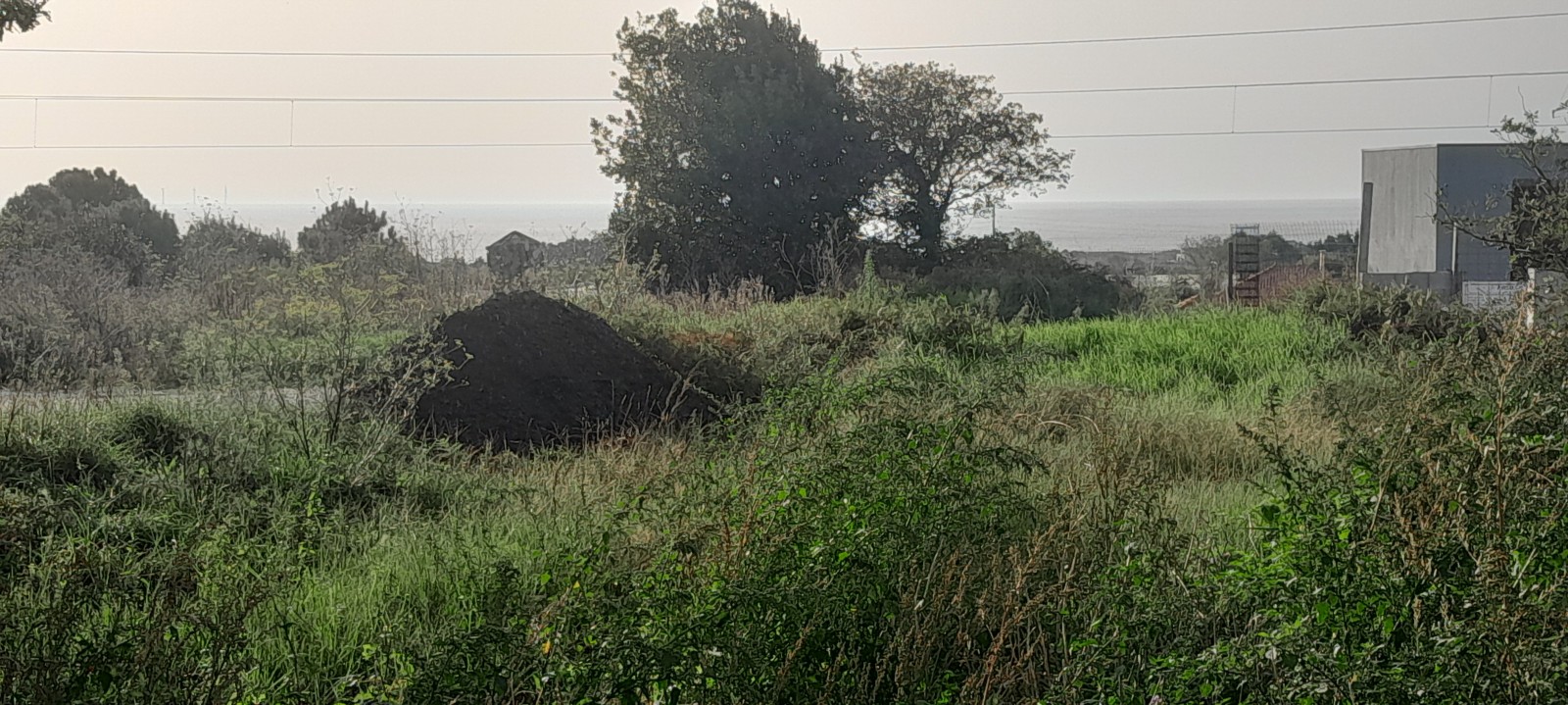 20241030-154418jpg