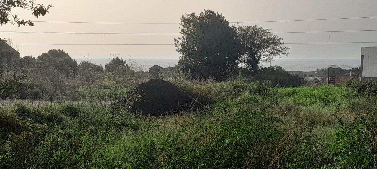 20241030-154423jpg