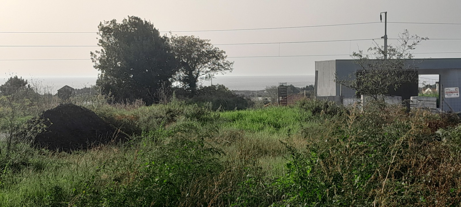 20241030-154421jpg