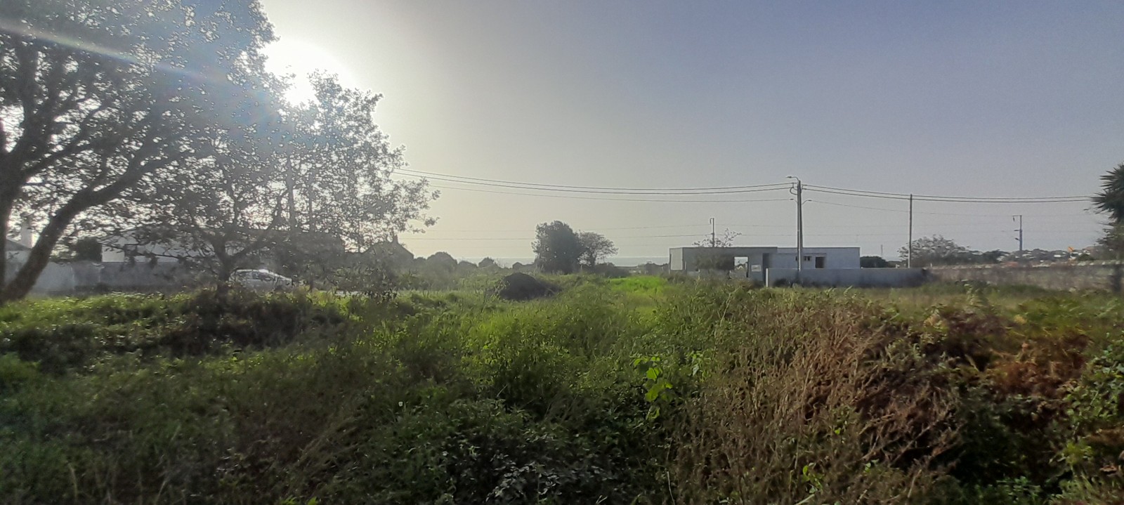 20241030-154432jpg
