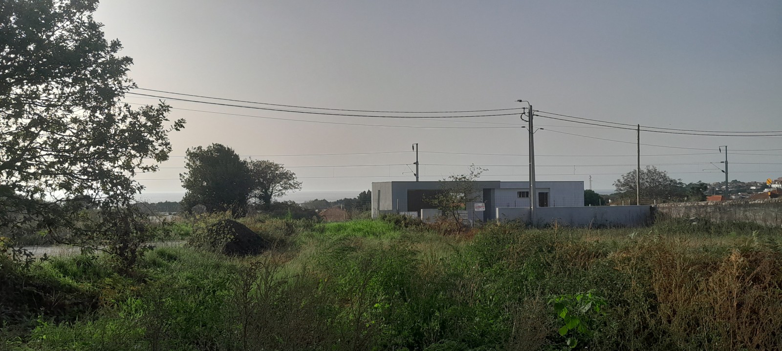 20241030-154451jpg
