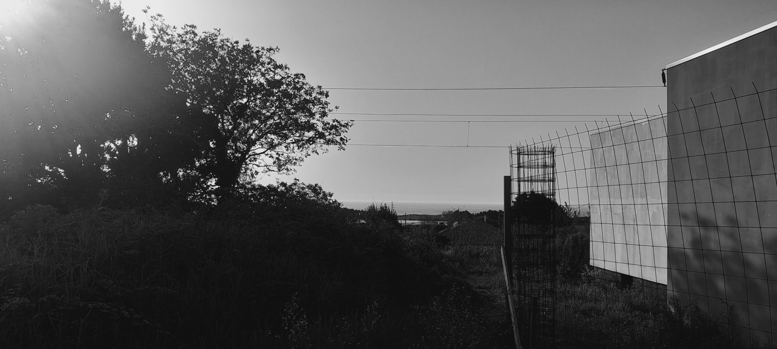 20241030-154646jpg