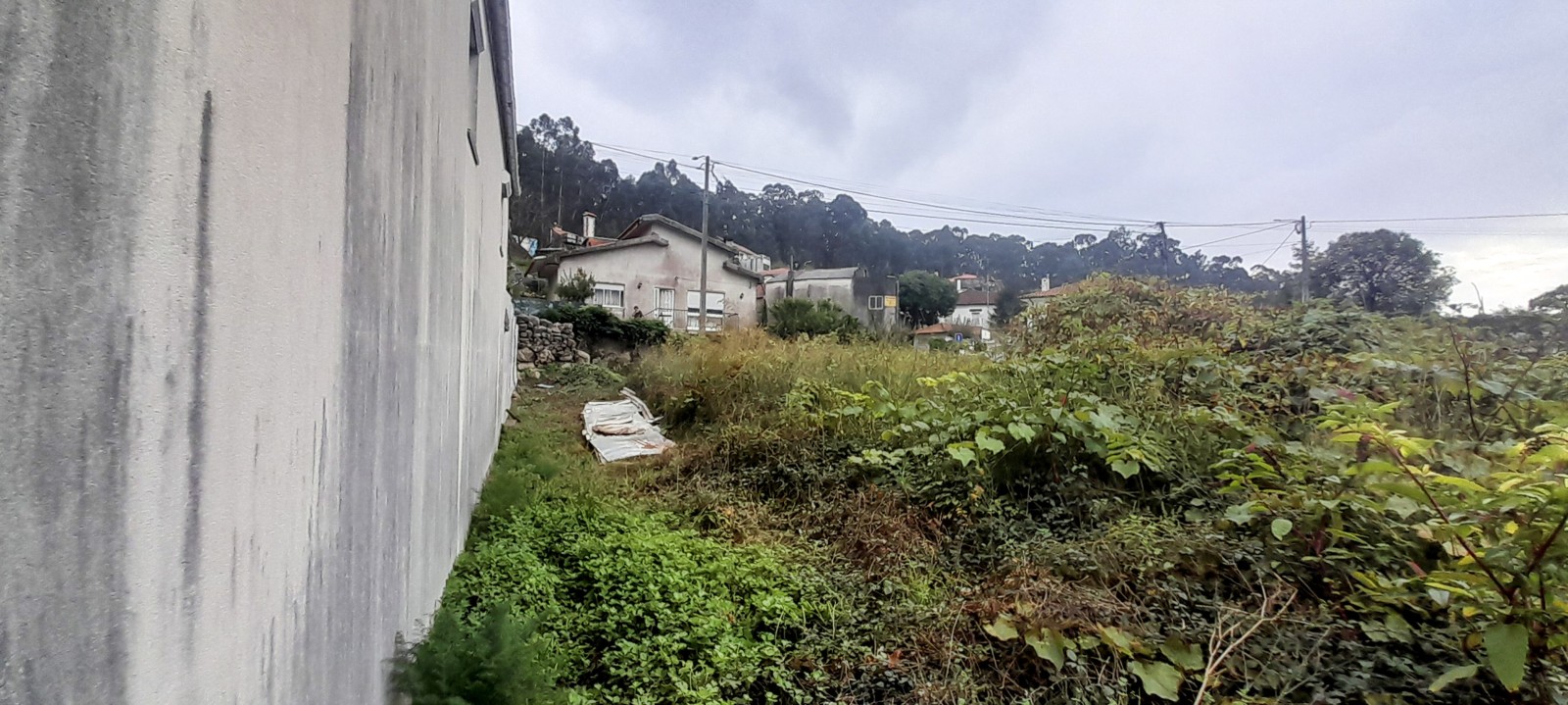 7-20241108-150540jpg