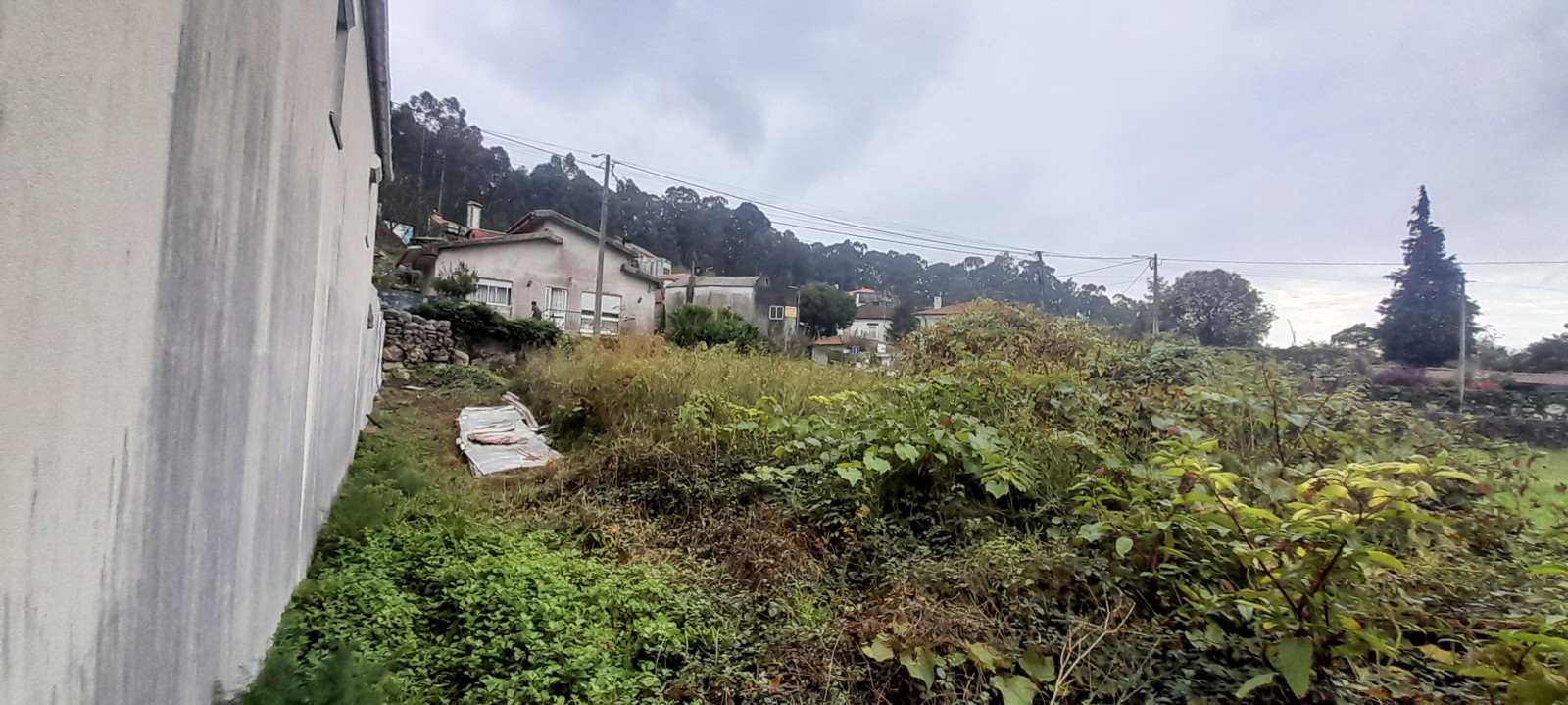 8-20241108-150538jpg
